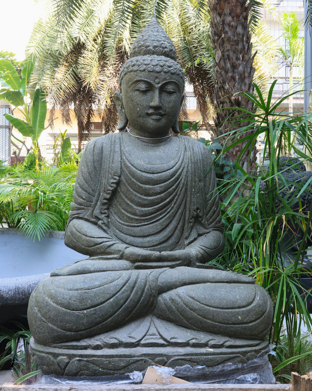 Meditative Calm Buddha