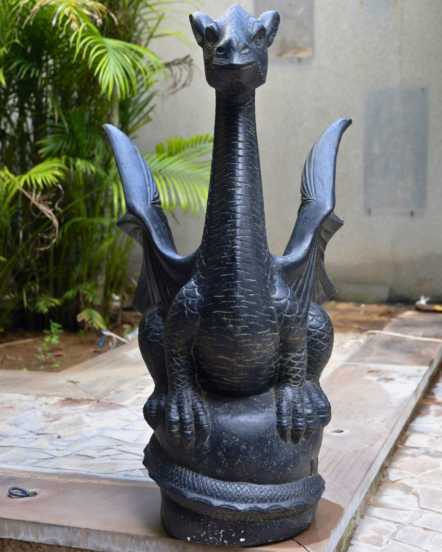 Dragon artefact
