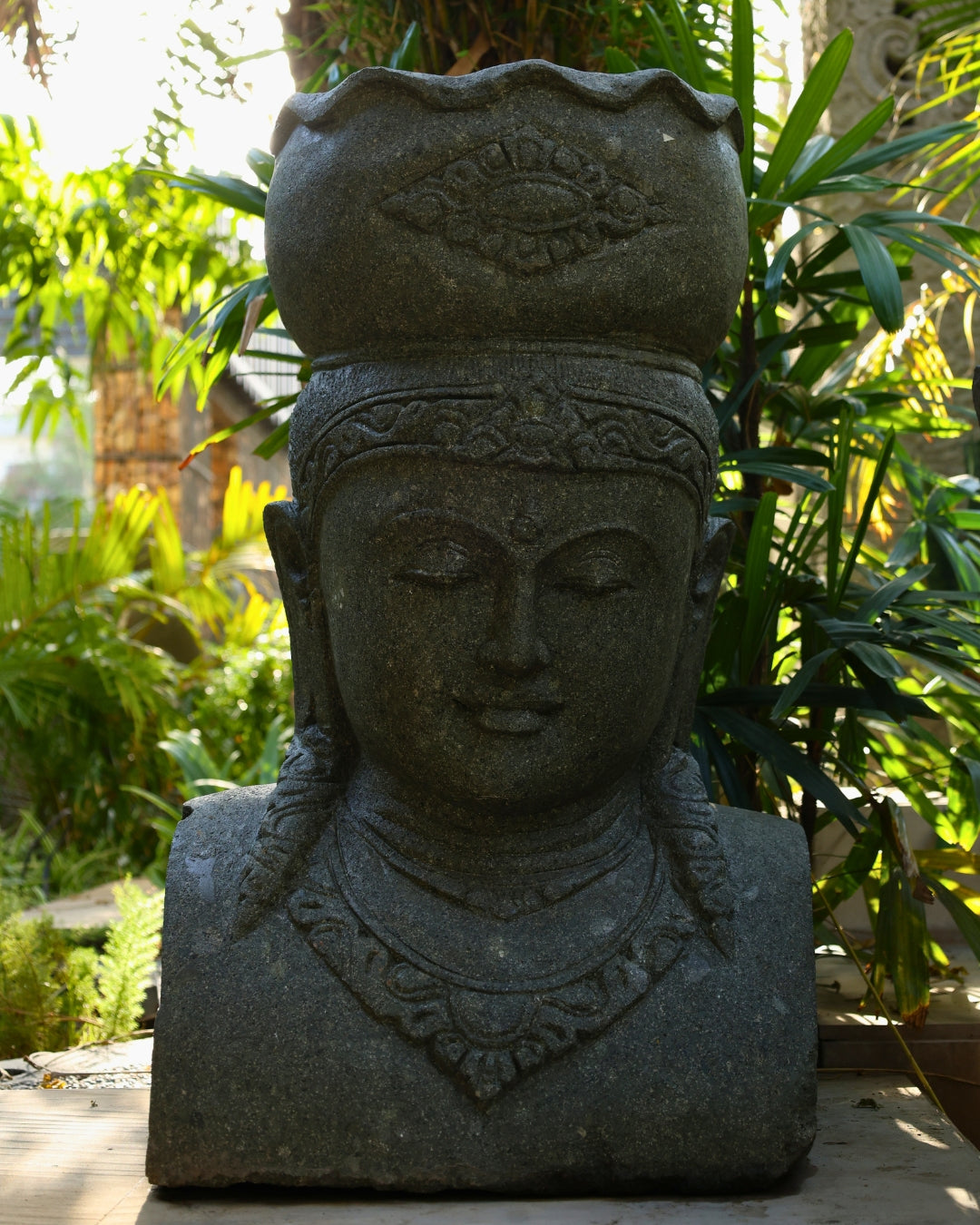 Buddha Pot Head