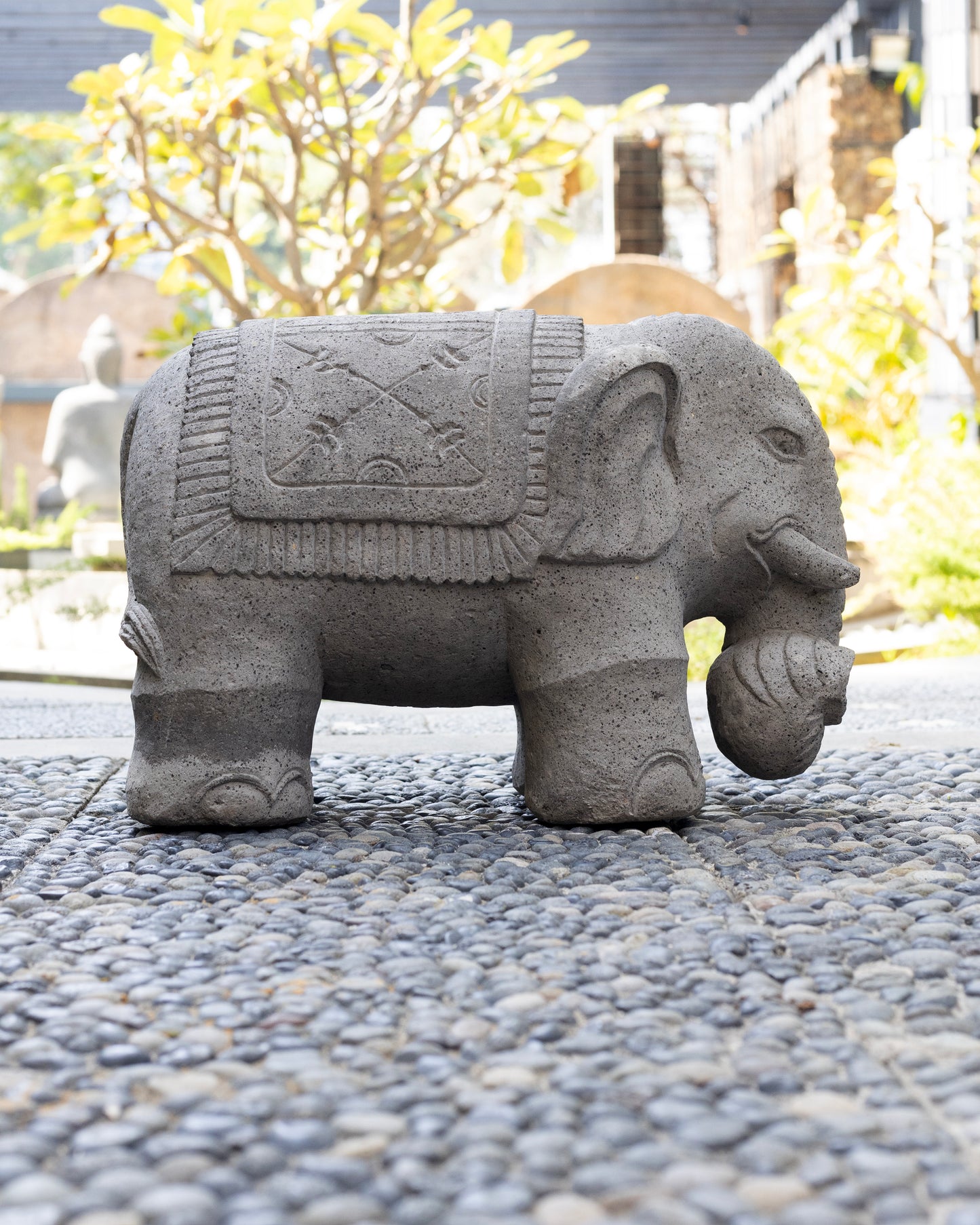 Elephant (S)