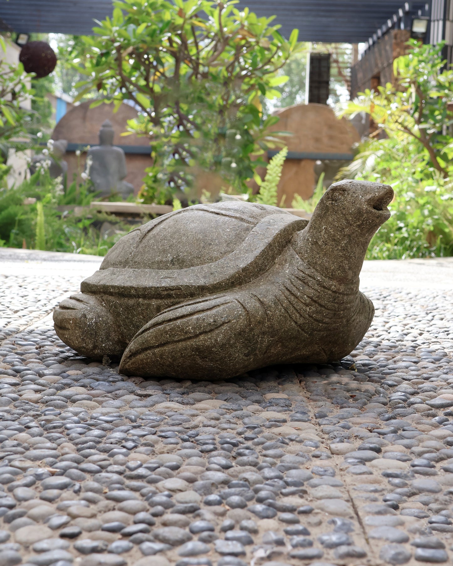 Tortoise Small