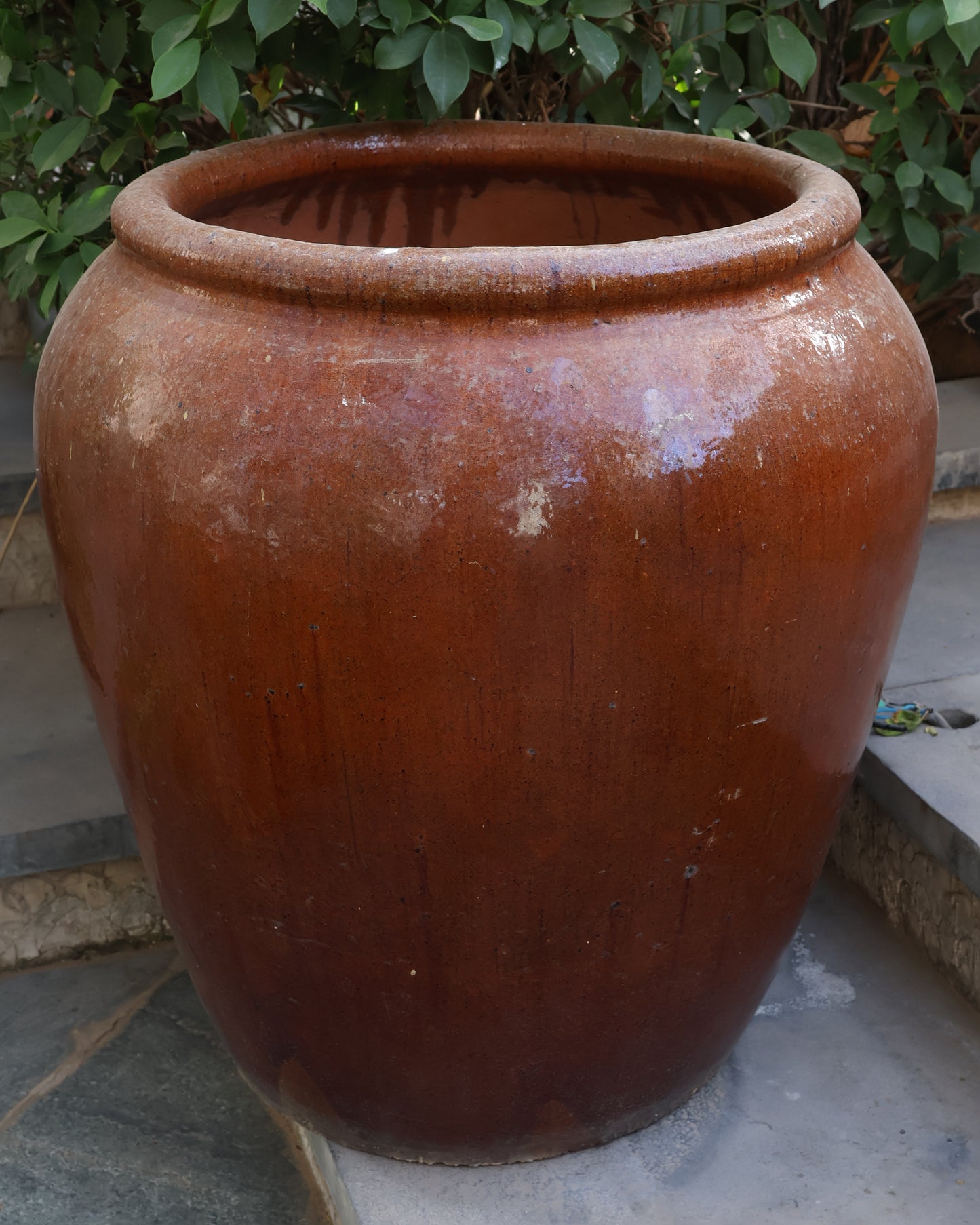 Terracota Pot Brown