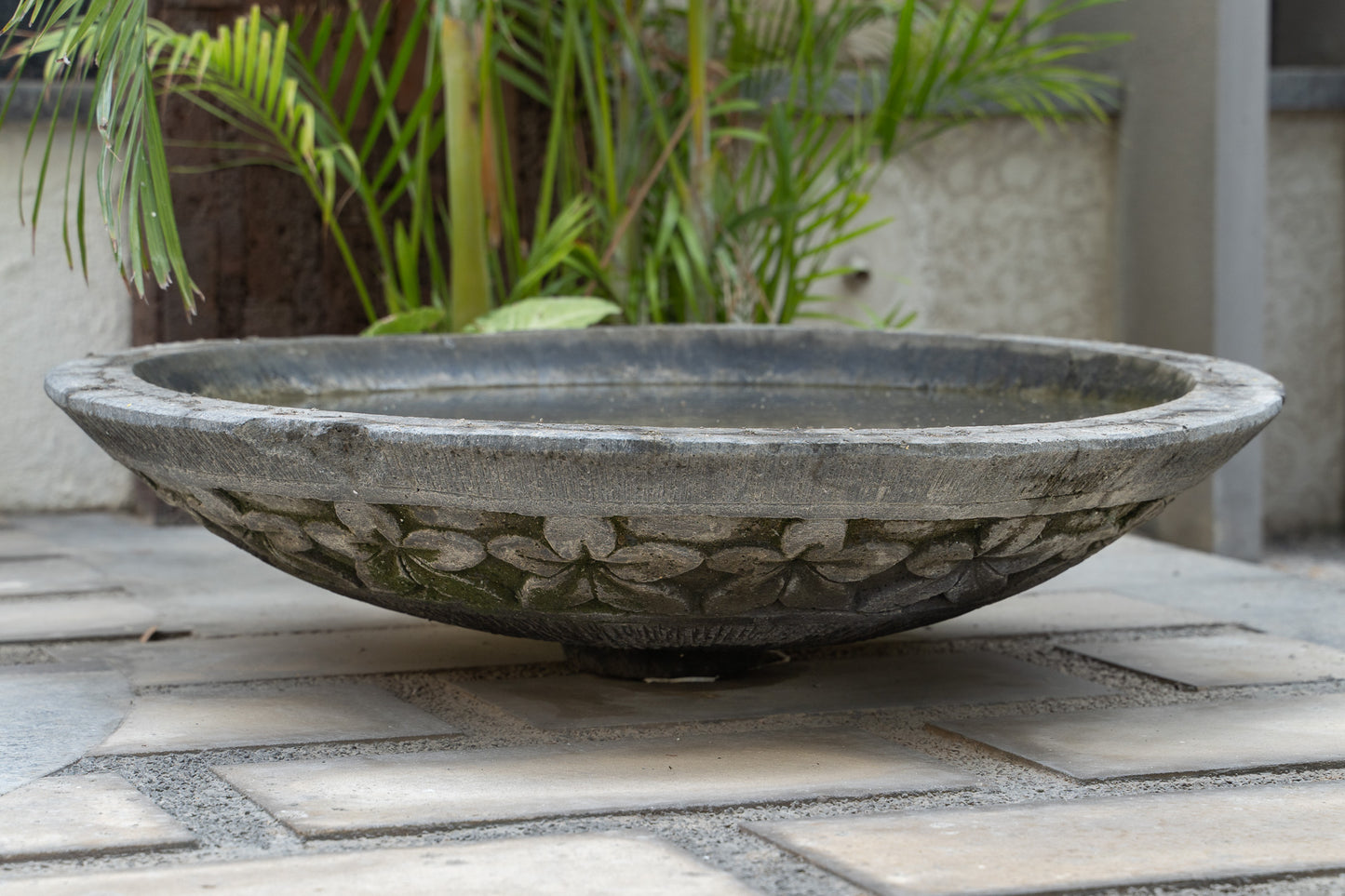 Blooming Paradise Pot