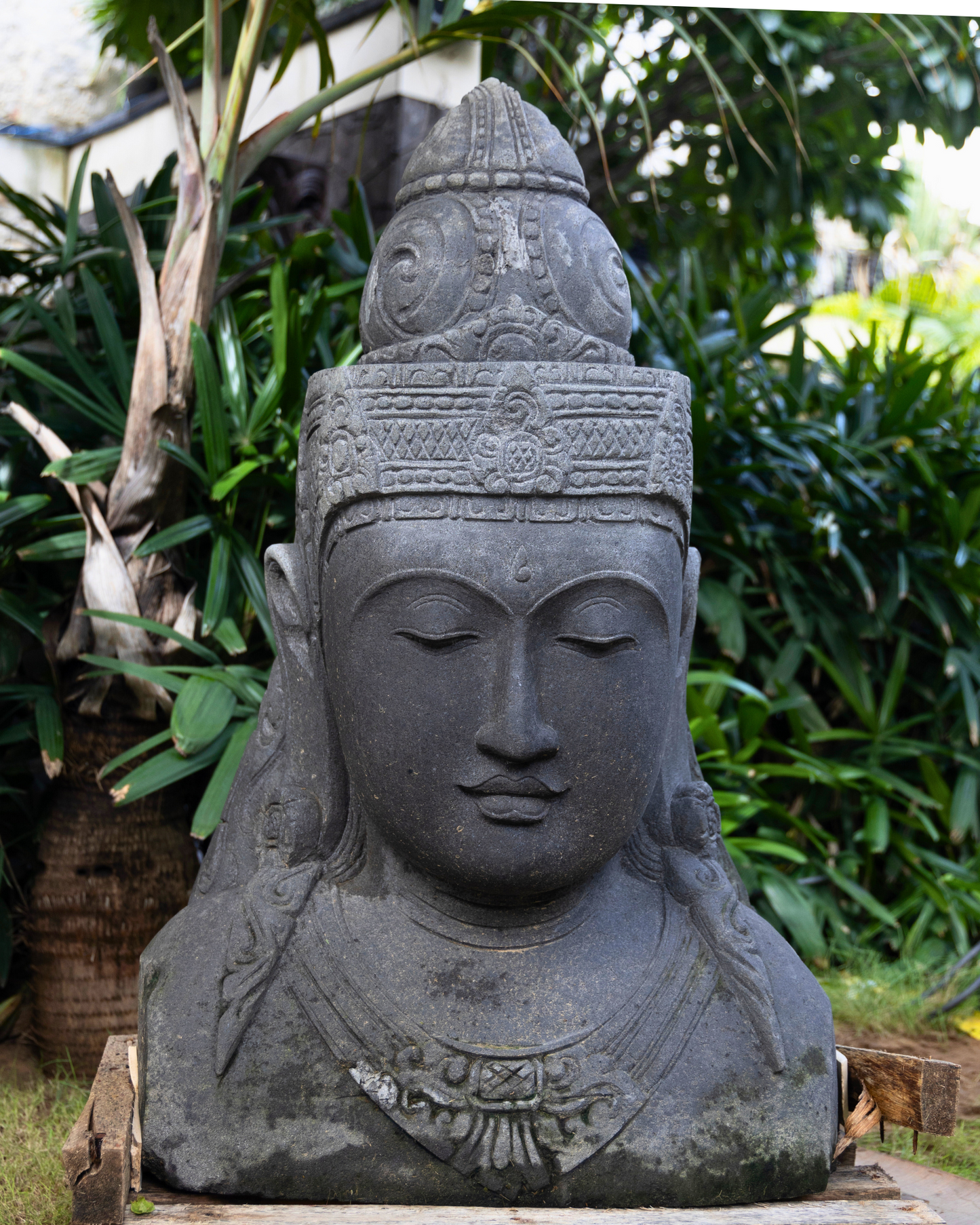 Shiva Head