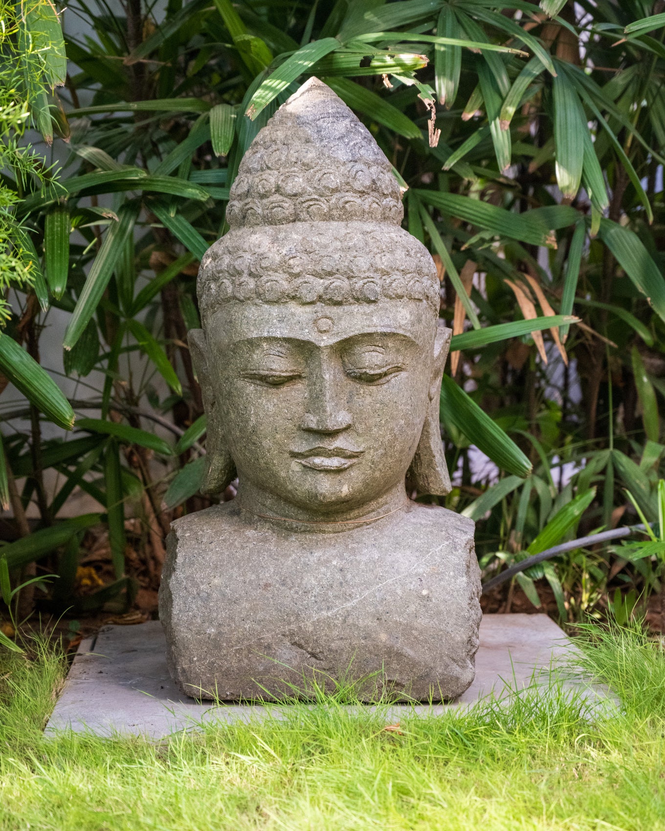 Crimson Buddha Stone Statue