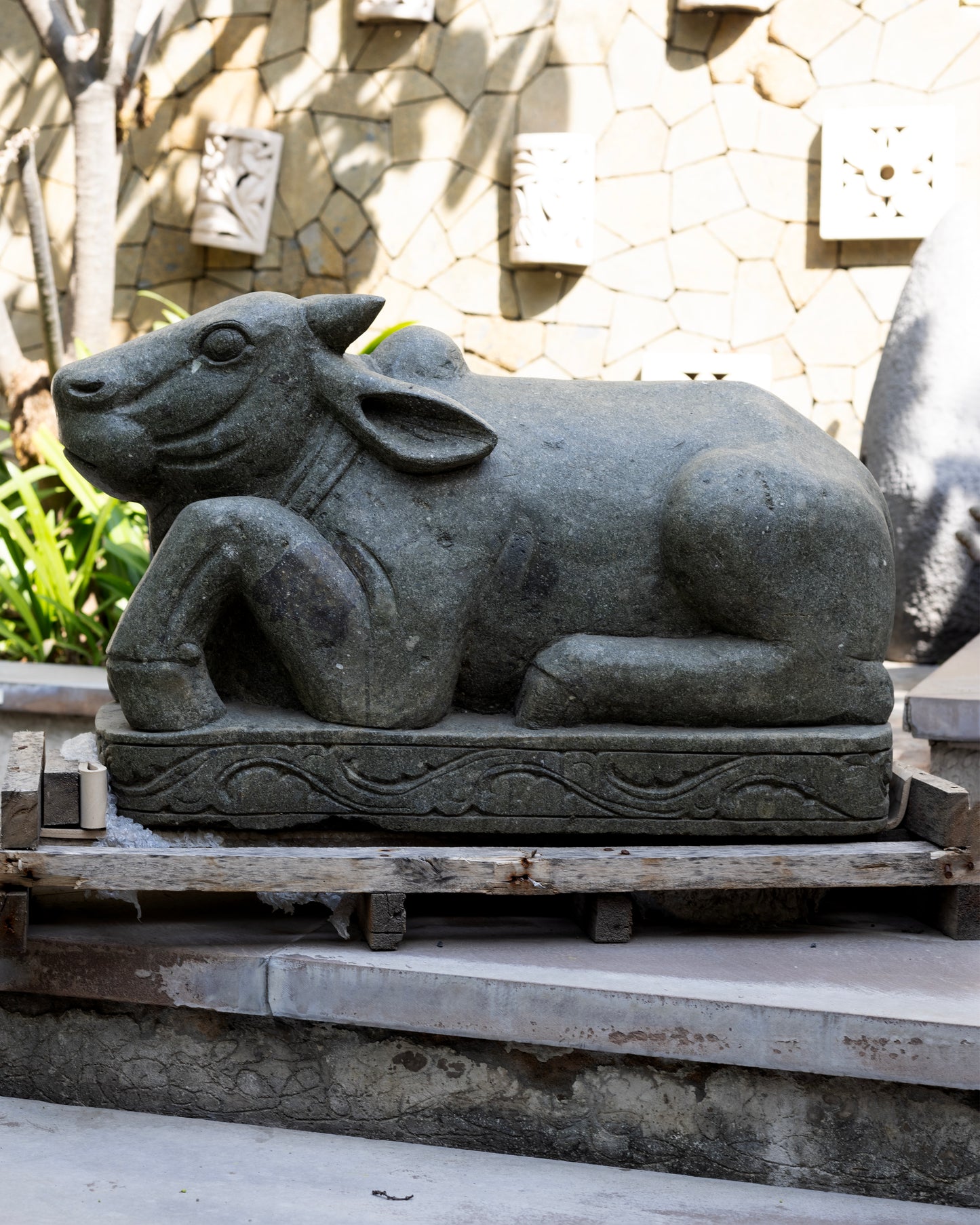 Sacred Nandi
