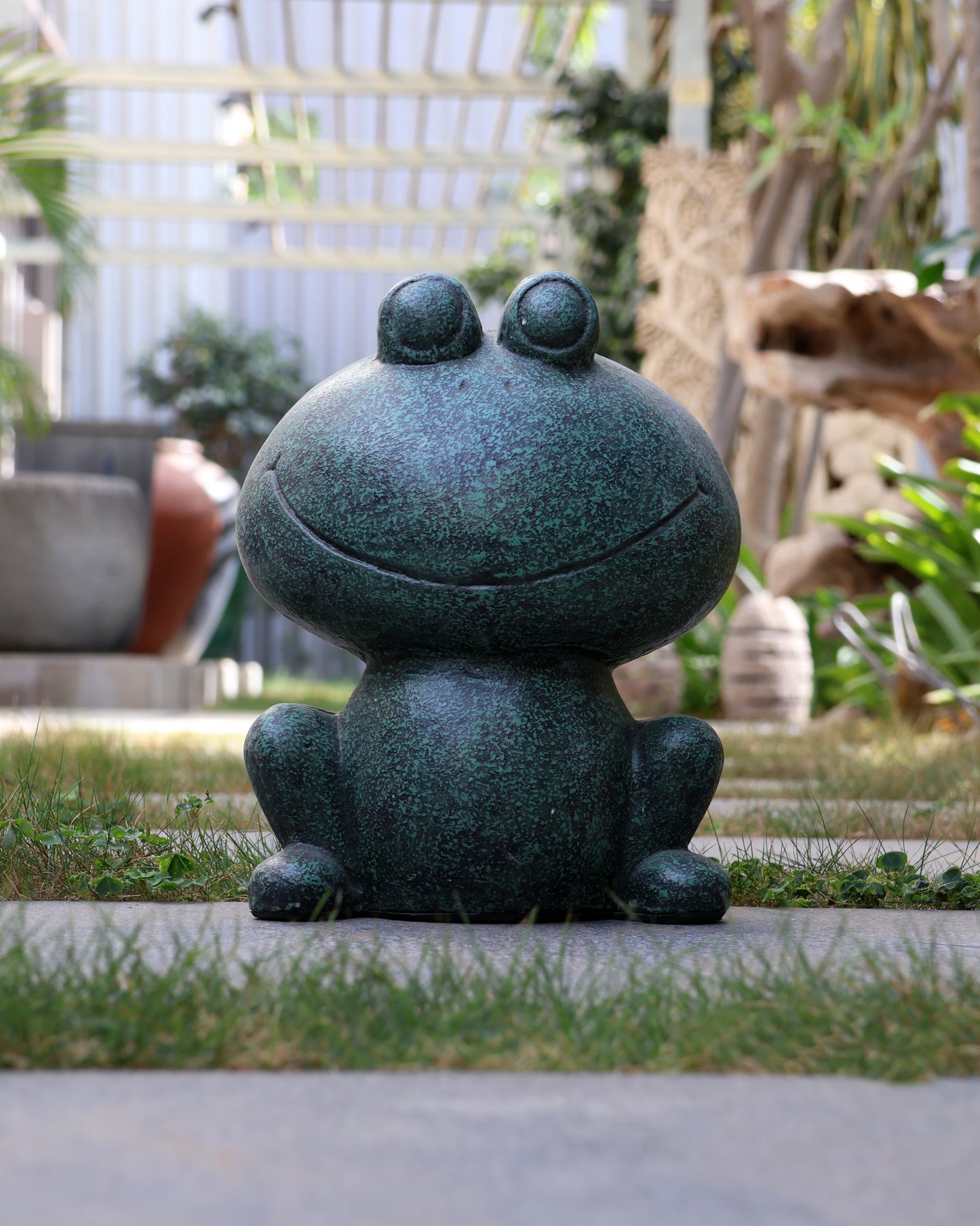 Frog Small