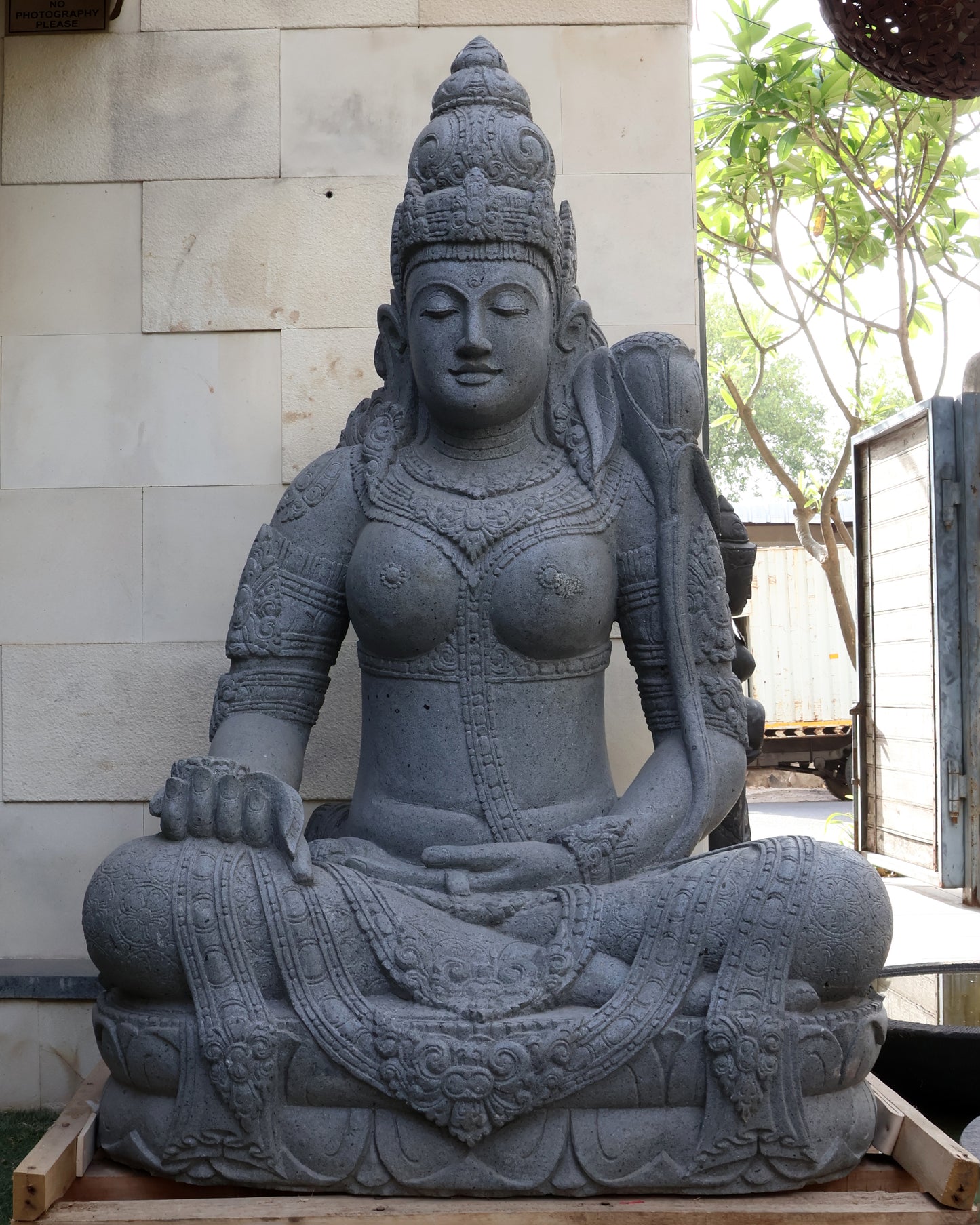 Devi Grey