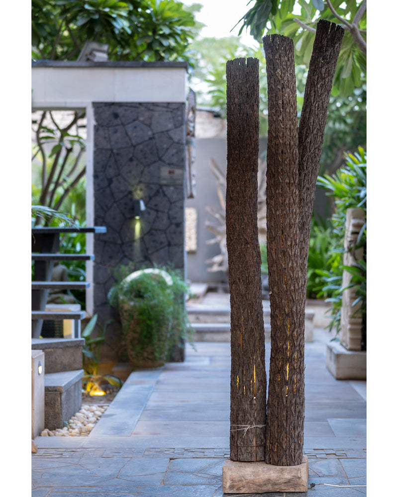 Curvy Bamboo Lights
